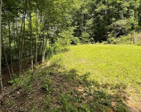 431 River Ridge Tuckasegee NC 28783