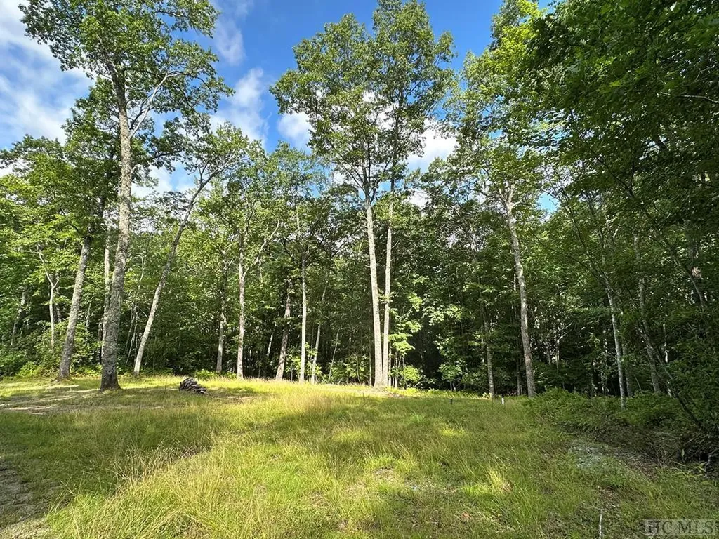 2463 Great Falls Drive Glenville NC 28736