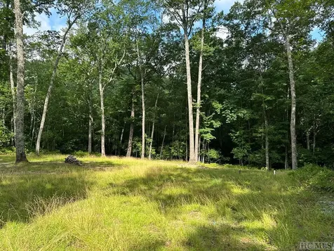 2463 Great Falls Drive Glenville NC 28736