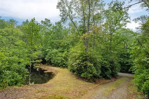 2463 Great Falls Drive Glenville NC 28736