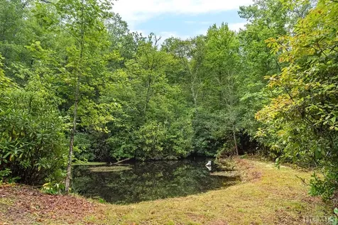 2463 Great Falls Drive Glenville NC 28736