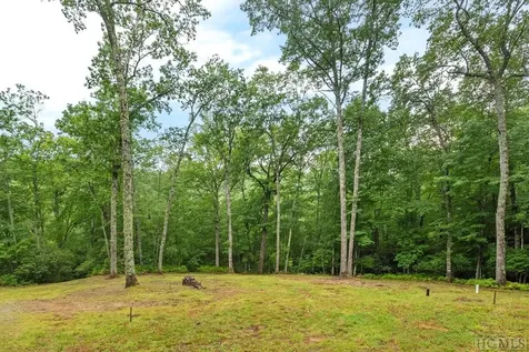 2463 Great Falls Drive Glenville NC 28736