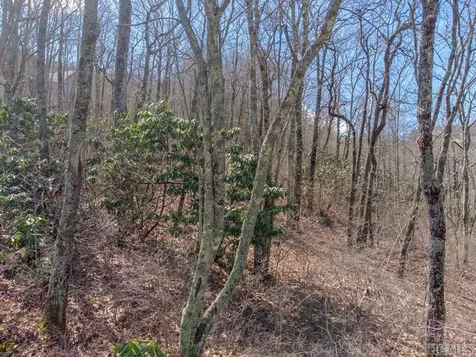 173/174 Pinehurst Court Highlands NC 28741