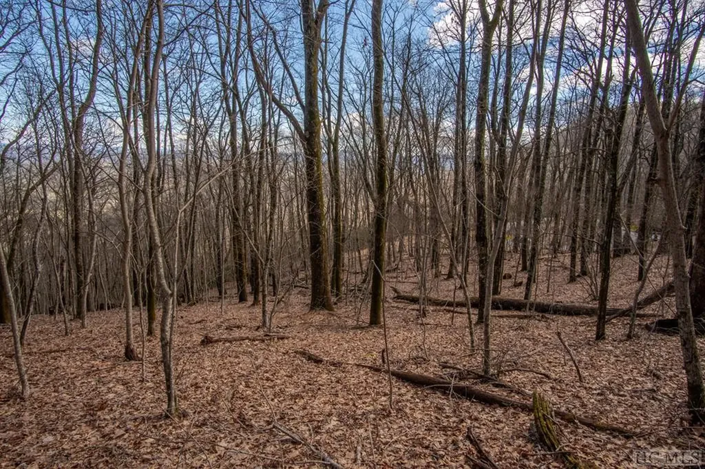 159 Windrush Trail Highlands NC 28741