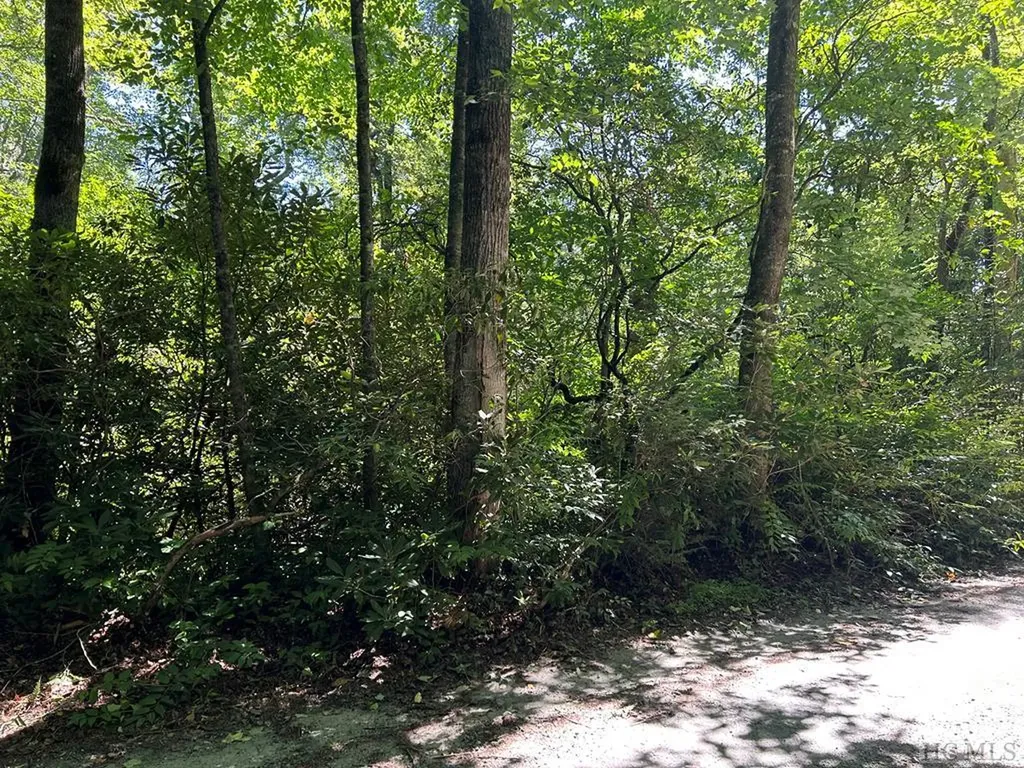 Lot 135 Meadowlark Lane Sapphire NC 28774