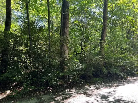 Lot 135 Meadowlark Lane Sapphire NC 28774
