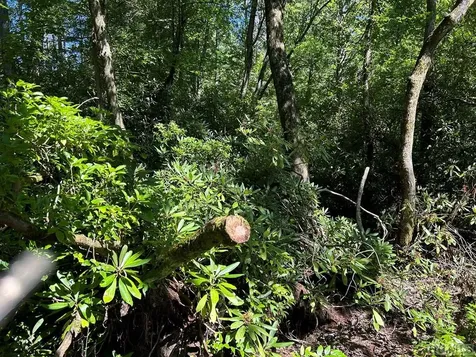 Lot 135 Meadowlark Lane Sapphire NC 28774