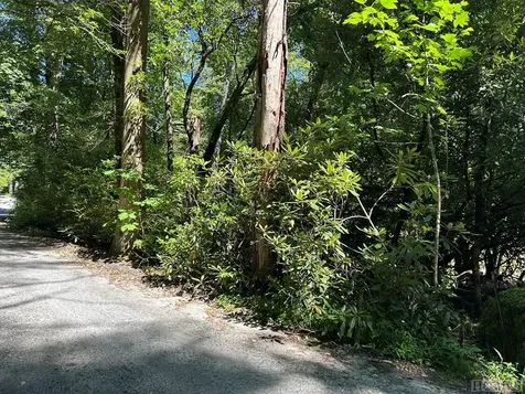 Lot 135 Meadowlark Lane Sapphire NC 28774