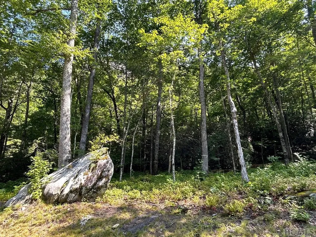 Lot 75b Flagstone Road Cashiers NC 28718