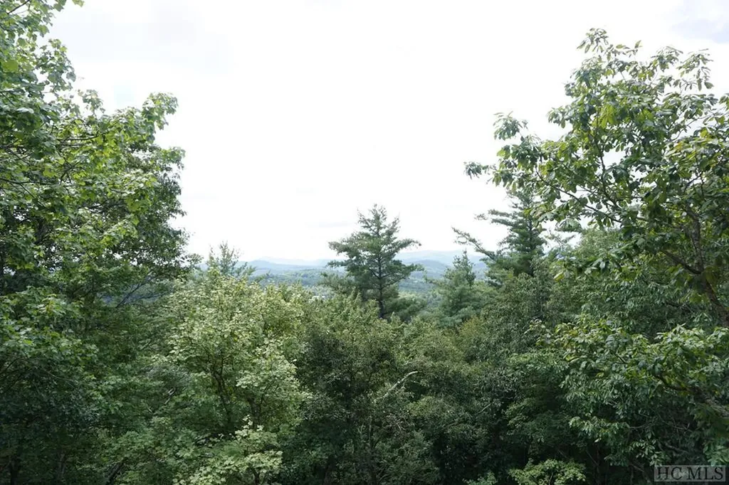 0 Cowee Ridge Road Highlands NC 28741