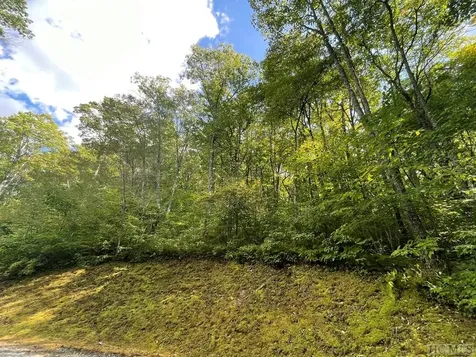 Lot 55 Compass Rose Way Cullowhee NC 28723