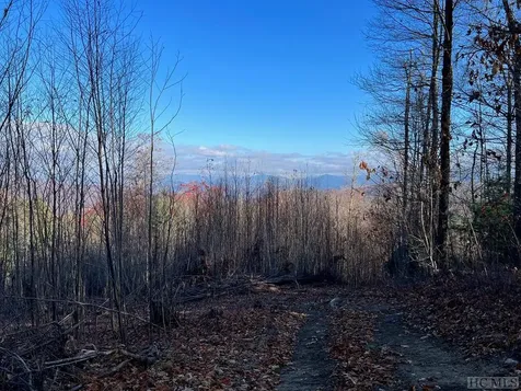 1517 Pilot Knob Road Glenville NC 28736