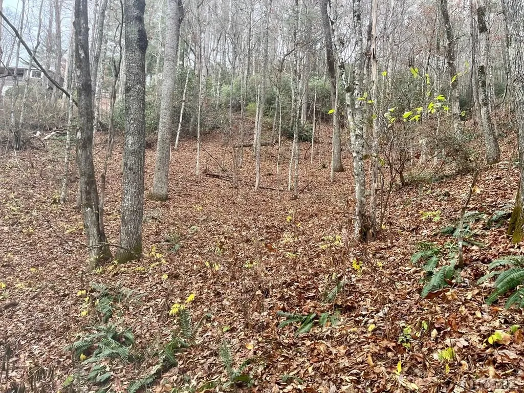 LT1 Sec6 Sage Circle Glenville NC 28736