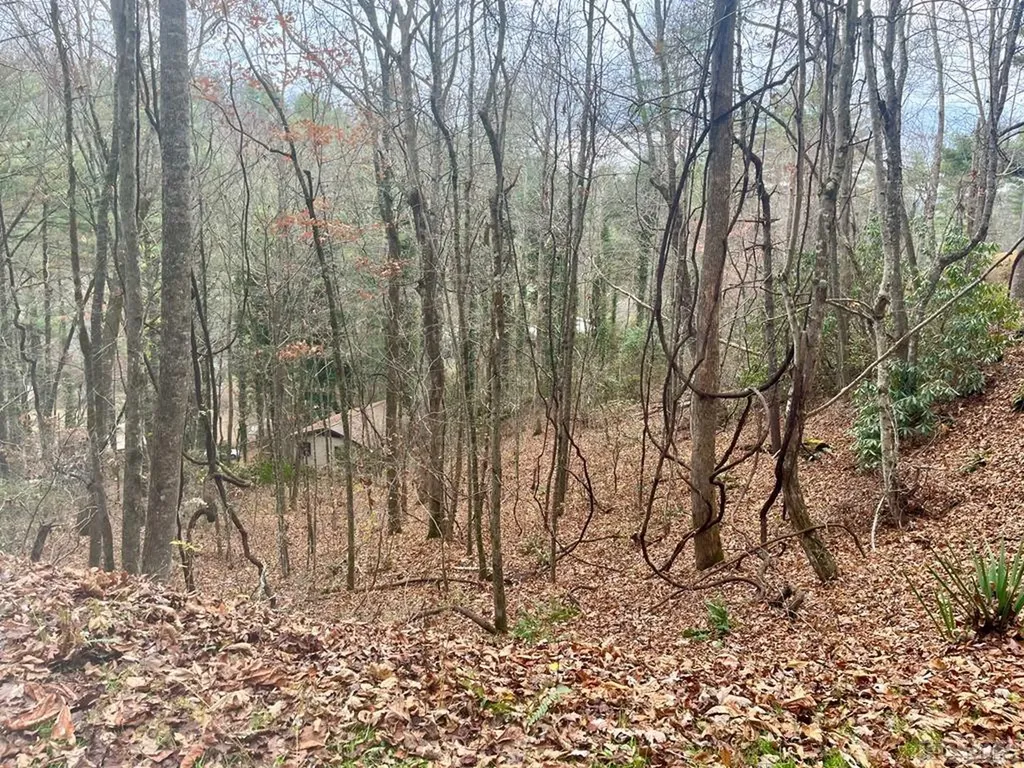 Lt1 Sec6 Sage Circle Glenville NC 28736