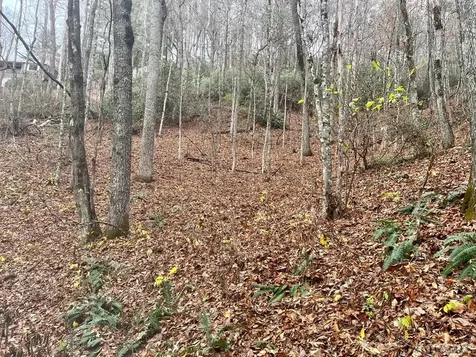 Lt1 Sec6 Sage Circle Glenville NC 28736