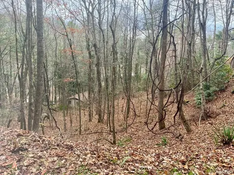 Lt1 Sec6 Sage Circle Glenville NC 28736