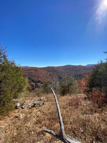 Lot 18 Channel View Drive Cullowhee NC 28723