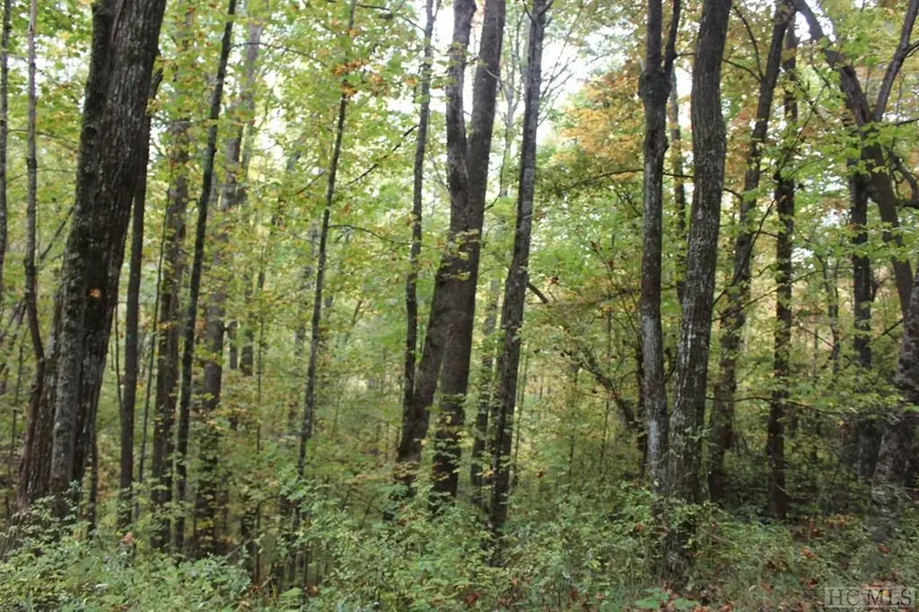 0 Pipetrack Gap Road Scaly Mountain NC 28775