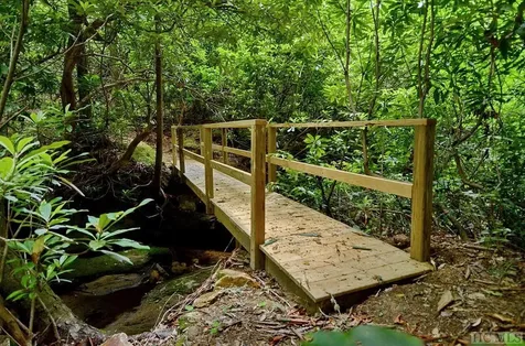 Lot 14 East Ridge Road Cashiers NC 28717