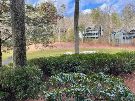 65 River Park Villas Drive Sapphire NC 28774