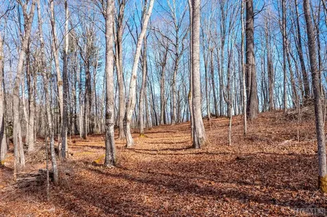 Lot C60 Lodge Woods Trail Glenville NC 28736