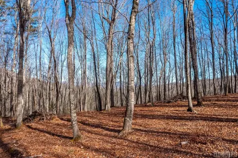 Lot C60 Lodge Woods Trail Glenville NC 28736