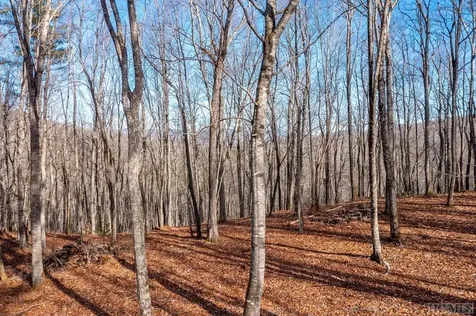 Lot C60 Lodge Woods Trail Glenville NC 28736
