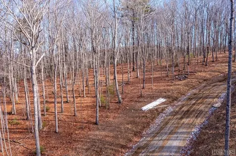 Lot C60 Lodge Woods Trail Glenville NC 28736