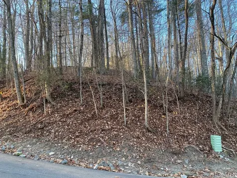 Lot 50 Kestrel Court Sapphire NC 28774
