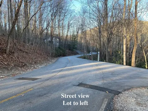 Lot 50 Kestrel Court Sapphire NC 28774