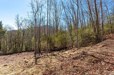 176 Dry Creek Trail Cashiers NC 28717