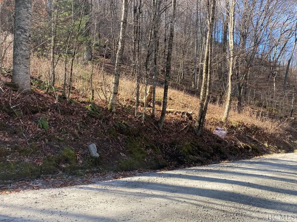Lot 1-b Walnut Gap Road Cullowhee NC 28723