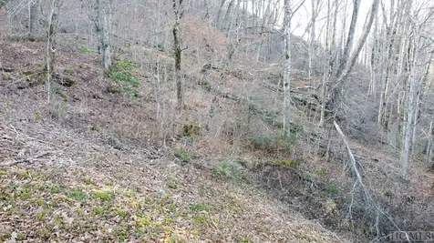 Lot 1-b Walnut Gap Road Cullowhee NC 28723