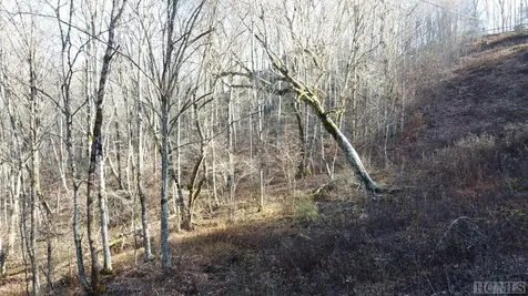 Lot 1-b Walnut Gap Road Cullowhee NC 28723