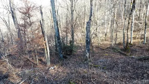 Lot 1-b Walnut Gap Road Cullowhee NC 28723