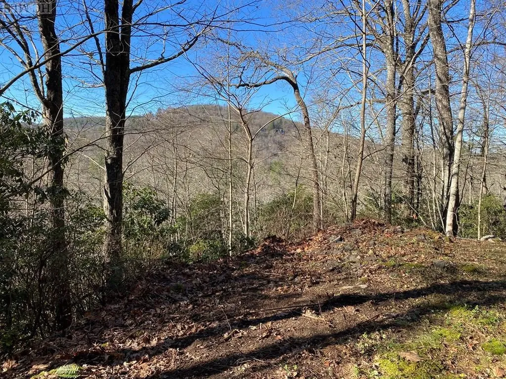 Tbd Upper Carriage Hill Drive Highlands NC 28741