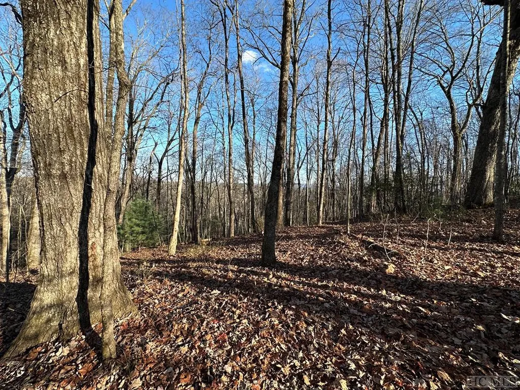 19 21 23 Whetstone Gap Road Lake Toxaway NC 28747