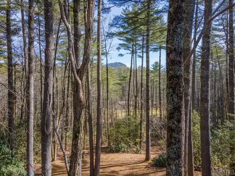 288 Cherokee Views Cashiers NC 28717