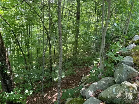 Lot 7 New Trillium Way Cashiers NC 28717