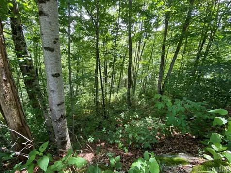 Lot 7 New Trillium Way Cashiers NC 28717