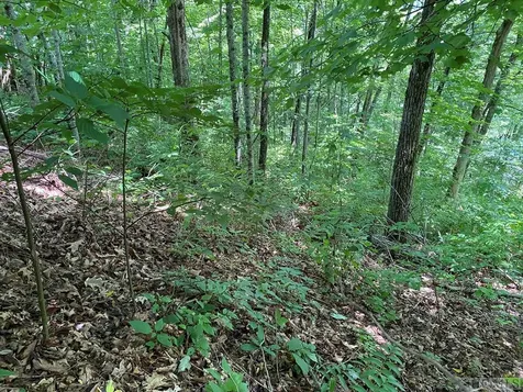Lot 7 New Trillium Way Cashiers NC 28717