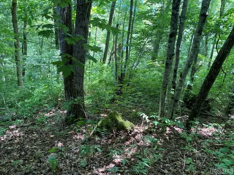 Lot 7 New Trillium Way Cashiers NC 28717