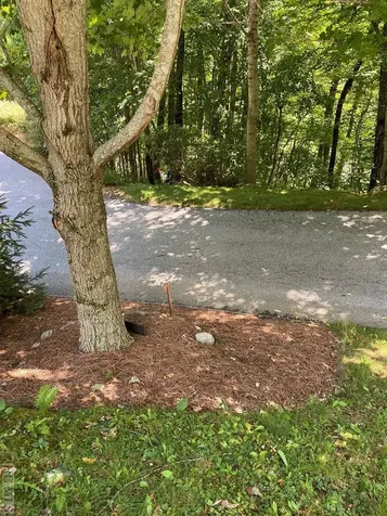 Lot 7 New Trillium Way Cashiers NC 28717
