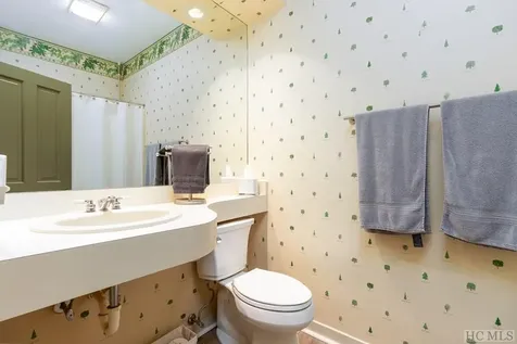 97 River Park Villas Drive Sapphire NC 28774