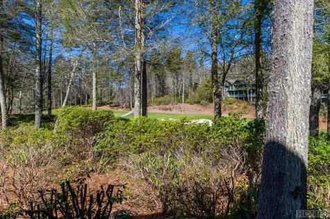 97 River Park Villas Drive Sapphire NC 28774