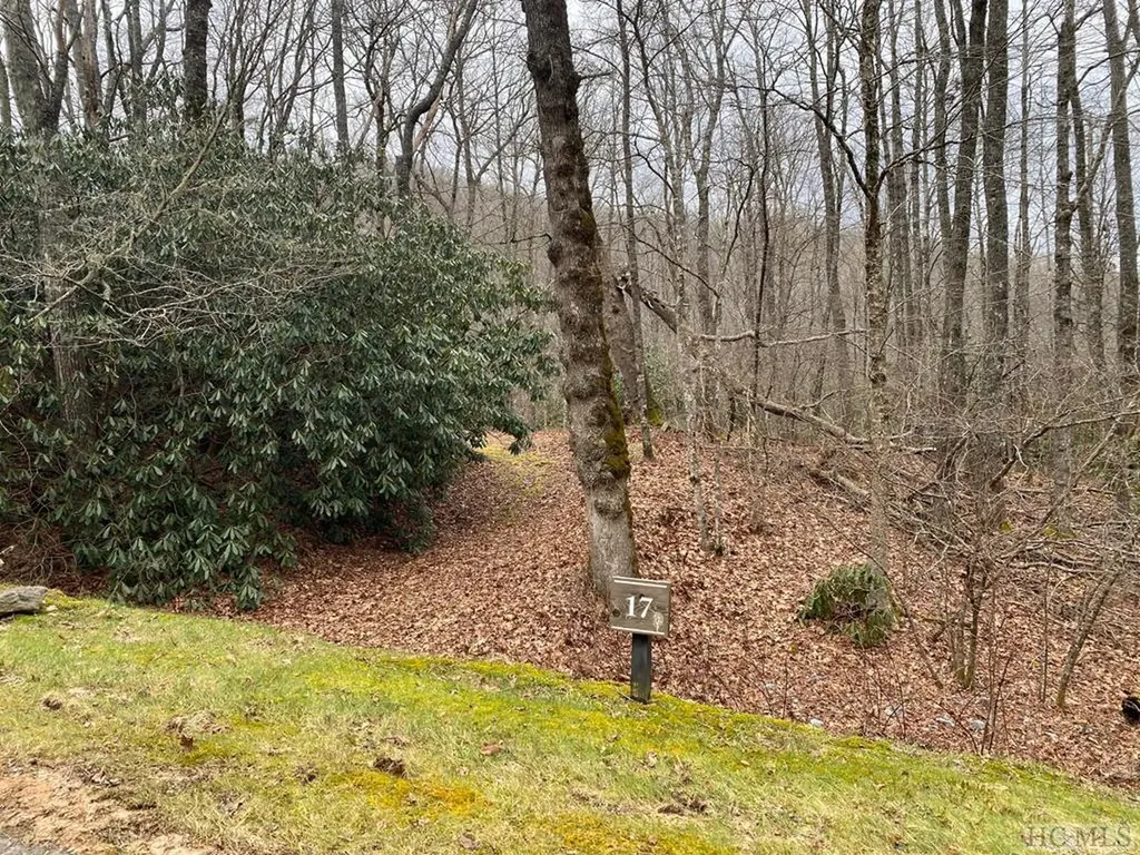 Lot 17 New Settler's Way Glenville NC 28736