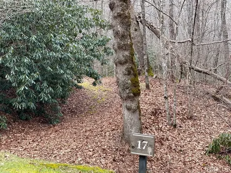 Lot 17 New Settler's Way Glenville NC 28736