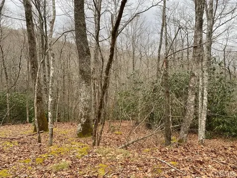 Lot 17 New Settler's Way Glenville NC 28736