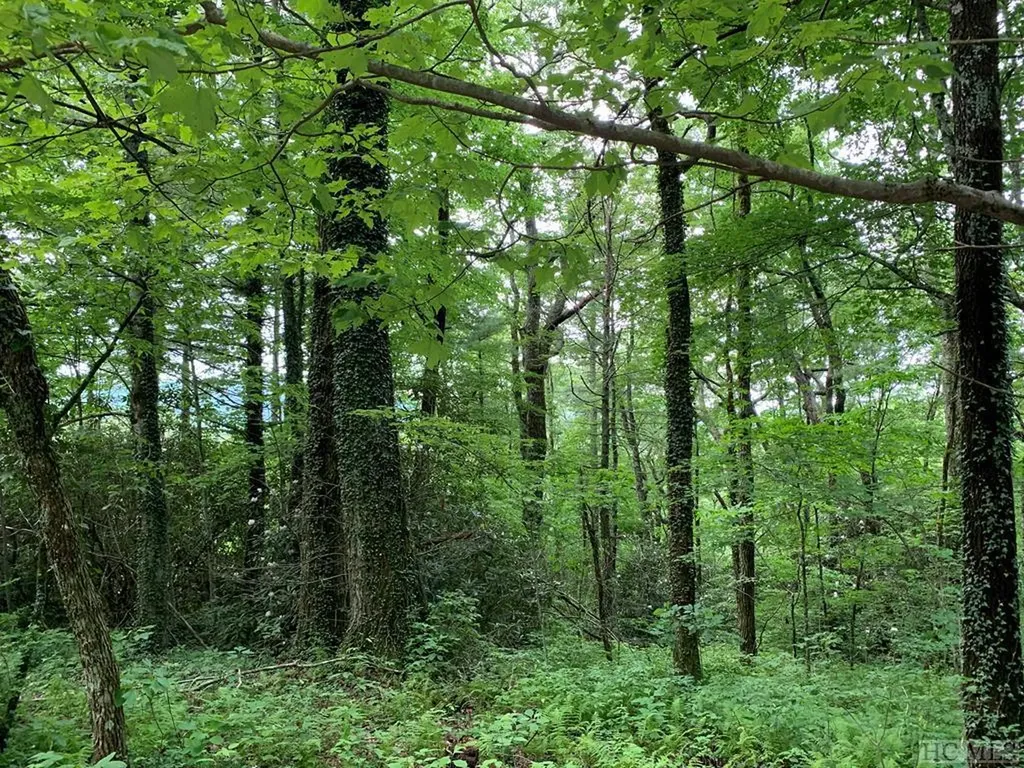 Tbd N 5th Street Highlands NC 28741