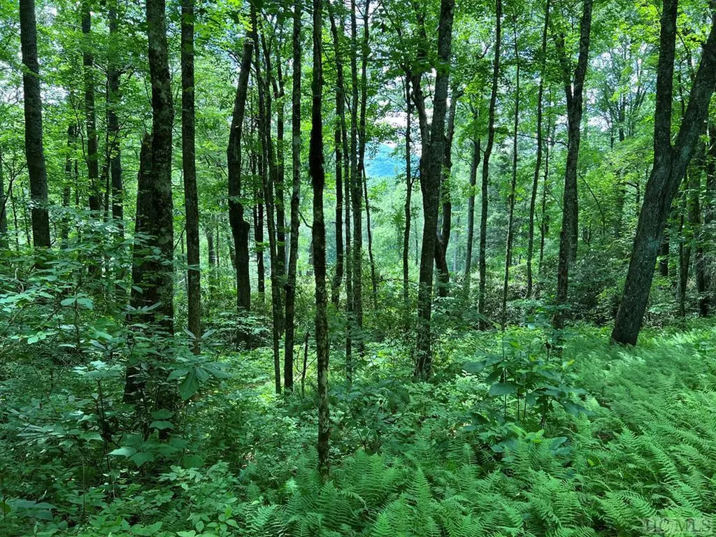 Tbd N 5th Street Highlands NC 28741